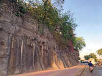Trees first to go in proposal for flyover, grade separator at crucial Yerawada junction