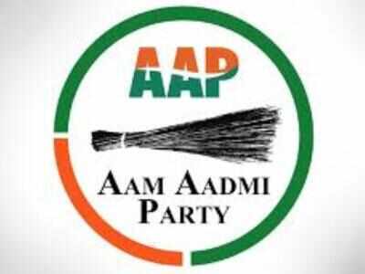 'Undercurrent' in Goa in its favour, claims AAP