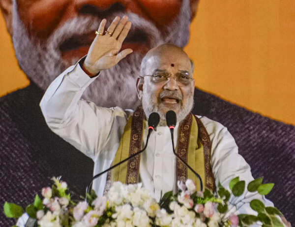 'BJP can't ally with those wanting Babri in Bengal': Amit Shah on Humayun Kabir