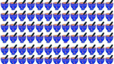 Optical Illusion: Only a person with high IQ can spot the odd bowl