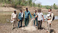 Pench Tiger Reserve&rsquo;s AI watchdog helps nab intruder