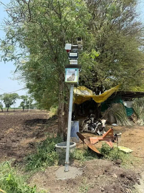 AI-based sirens, cellphone alerts to reduce leopard attacks in Junnar