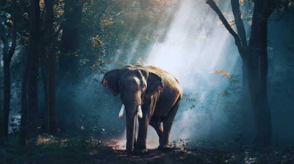 Cambodia