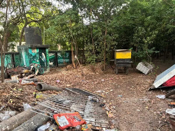 Thiru Vi Ka Nagar Miyawaki forest in Chennai turns hazard zone as snakes, alcohol bottles, litter dumped under ‘green carpet’