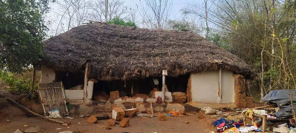 2-year-old killed as elephant demolishes house