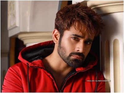 Arrested actor Pearl V Puri gets 14 days judicial custody in rape case