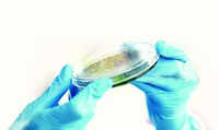 Bokaro admin steps up efforts to curb TB