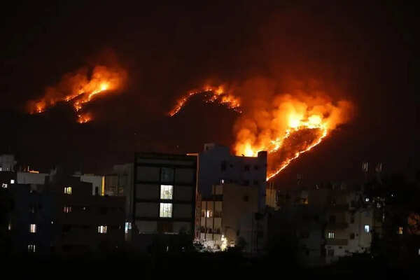 Fire breaks out in Seshachalam forests