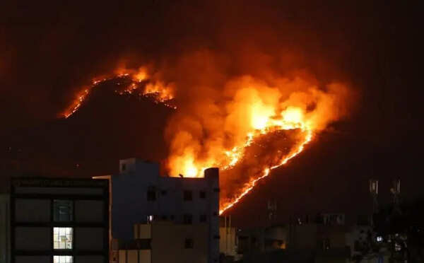 Fire breaks out in Seshachalam forests