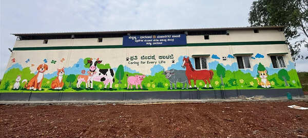 Sterilisation push: HDMC readies stray dog centre for 100 daily surgeries