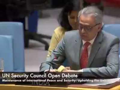 Pakistan epitomises 'dark arts', no takers for its 'malware': India at UNSC