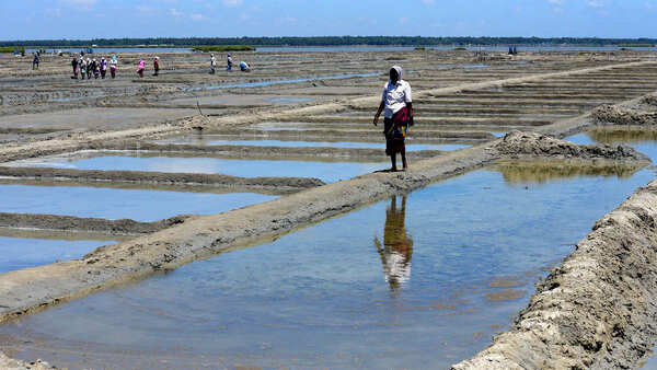 Why Tamil Nadu's salt pan workers will be voting for no one