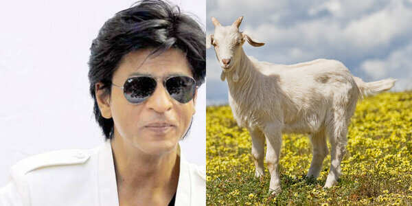 7 animals named after top celebrities!