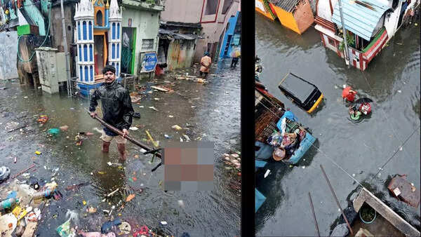 Health scare: Purasawalkam residents live amid sewage, carcasses of animals