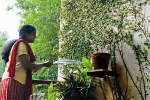 Madurai finds a green hobby