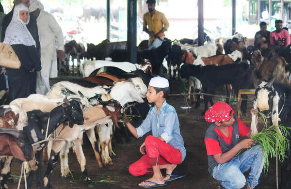Mumbai mayor seeks blanket ban on slaughter in housing societies during Bakr Eid