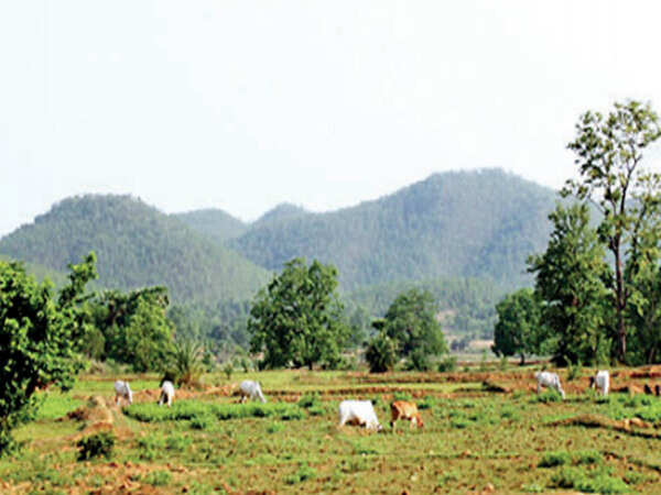Despite coronavirus fear, West Bengal's Jangalmahal hotels remain packed till March 15
