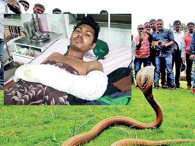 This snake rescuer cheated death thrice