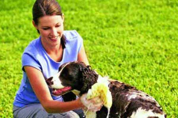 Doggy day care makes a splash in busy Gurgaon!