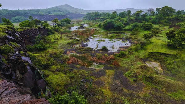 The birder who refuses to let a hill disappear in Pune: How a quiet community of birdwatchers continue to save Pune's highest hill