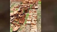 World War II arms recovered by security forces near India-Myanmar border 