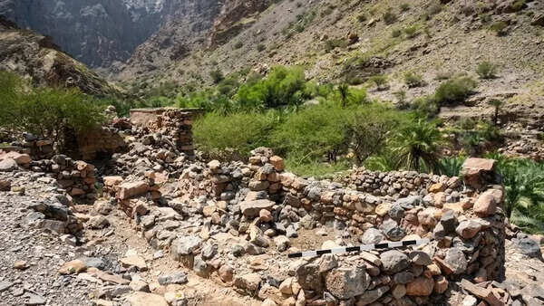 Oman: What began as road construction reveals 3,000-year-old graves and rare Iron Age burial rituals