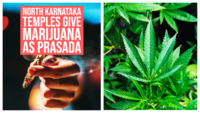 North Karnataka temples give marijuana as prasada amidst police crackdown 