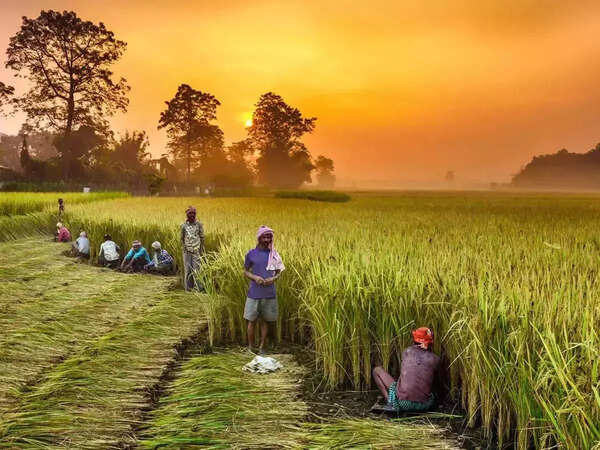 BJP Govt deliberately handing over farmers to private agencies: Hooda