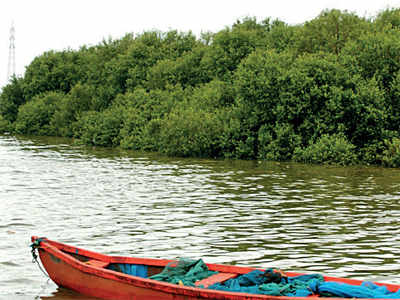 Maharashtra gives away another big chunk of mangroves for link road on NH-4