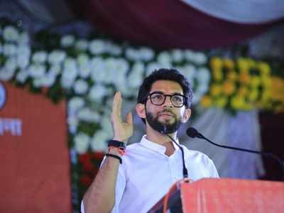 'Need of the hour is to take measures to protect every dam': Aaditya Thackeray parries query on minister's 'crab' comment