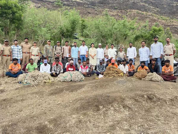 21 poachers using traditional traps to hunt wild animals held during forest dept raid in Junnar’s Rajur range