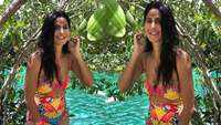 Katrina Kaif's latest pic from her Mexico vacation is too hot to handle! 