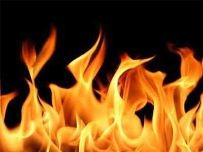 Telangana: ‘Insulted’ in school, 7-year-old boy sets himself ablaze