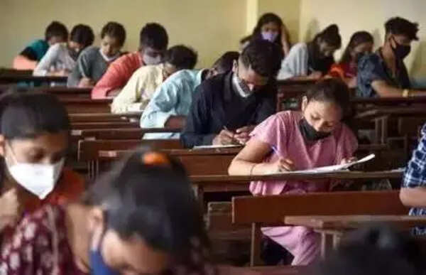 Inter results: Many history, commerce students excel despite limited options