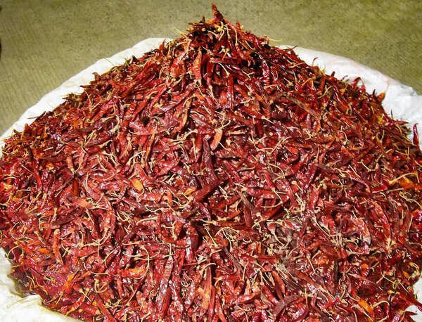 Ballari farmer alleges chilli stock sold from cold storage without consent