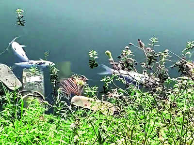 Tale of two lakes: Another one heads to its watery grave?