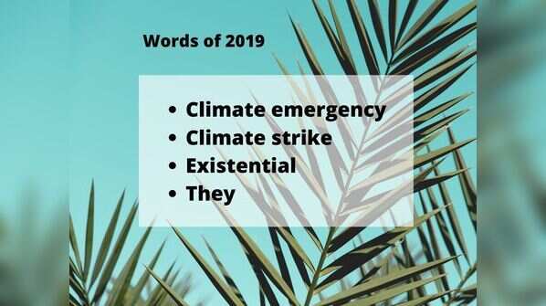 Words of 2019