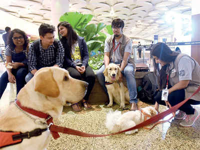 Mumbai Airport’s dog therapy a hit among fliers