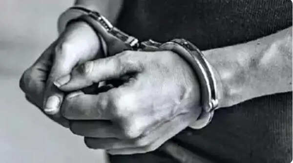 Dummy GST firm used to move granite, one held In ₹17cr evasion case in Hyderabad