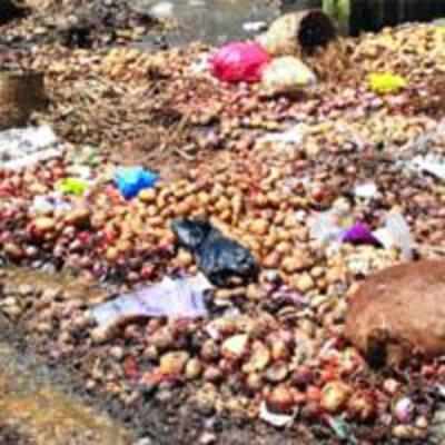 APMC market stinks of rotten potatoes, allege traders