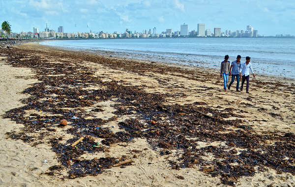 Oil's not well with iconic chowpatty