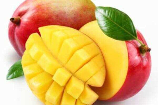 Raipur welcomes the king of fruits