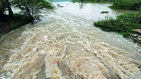 Bengaluru: Four years on, Bhattarahalli Lake revival work not over yet