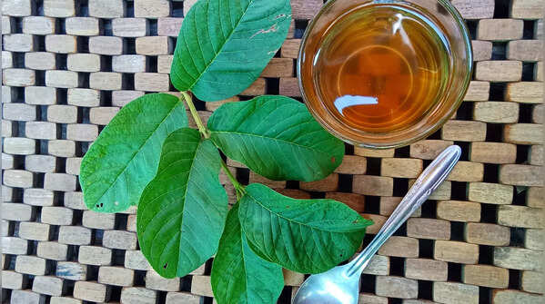 Ayurvedic Wisdom