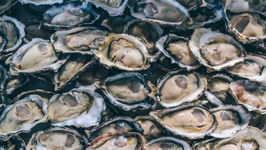 Raw oysters trigger multistate salmonella outbreak in the US, prompting nationwide health alert