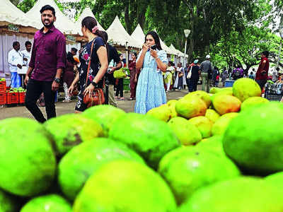 Mango and jackfruit fair kicks off at Lalbagh