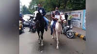Hooves against fuel hike: Congress councillors protest in Saurashtra 