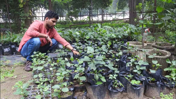 Chhattisgarh University Student Leads Conservation Research on Endangered Medicinal Trees