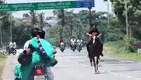 Watch: Karnataka BJP MLA's son flouts lockdown rules, rides horse on highway 
