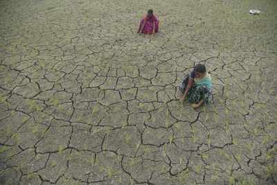 Maharashtra launches website, app to analyse drought situation